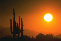 Sunset in the desert